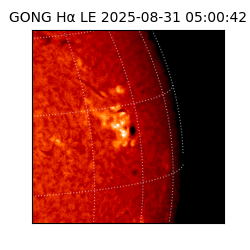 gong - 2025-08-31T05:00:42