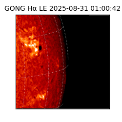 gong - 2025-08-31T01:00:42