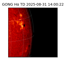gong - 2025-08-31T14:00:22