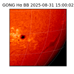 gong - 2025-08-31T15:00:02