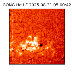 gong - 2025-08-31T05:00:42