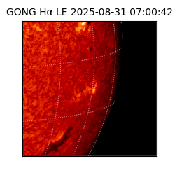 gong - 2025-08-31T07:00:42