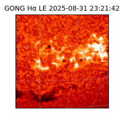 gong - 2025-08-31T23:21:42