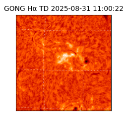 gong - 2025-08-31T11:00:22
