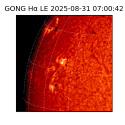 gong - 2025-08-31T07:00:42