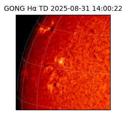 gong - 2025-08-31T14:00:22