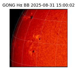 gong - 2025-08-31T15:00:02