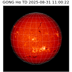 gong - 2025-08-31T11:00:22