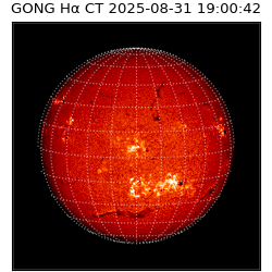 gong - 2025-08-31T19:00:42