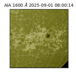 saia - 2025-09-01T08:00:14.126000