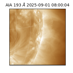 saia - 2025-09-01T08:00:04.843000