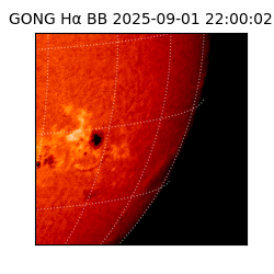 gong - 2025-09-01T22:00:02