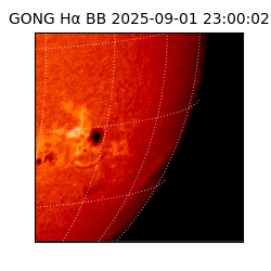 gong - 2025-09-01T23:00:02