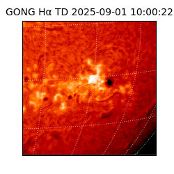 gong - 2025-09-01T10:00:22