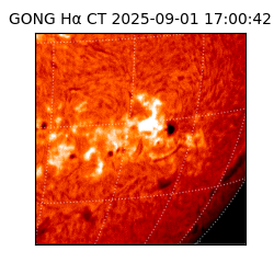 gong - 2025-09-01T17:00:42
