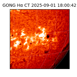 gong - 2025-09-01T18:00:42