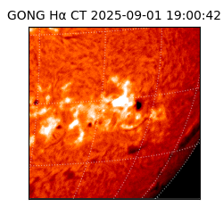gong - 2025-09-01T19:00:42