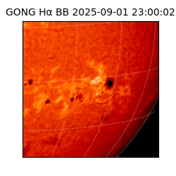 gong - 2025-09-01T23:00:02