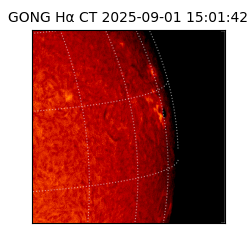 gong - 2025-09-01T15:01:42