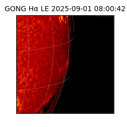 gong - 2025-09-01T08:00:42