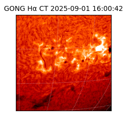 gong - 2025-09-01T16:00:42
