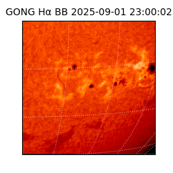 gong - 2025-09-01T23:00:02