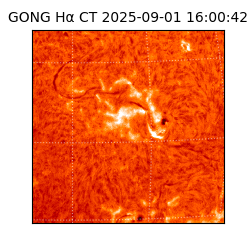 gong - 2025-09-01T16:00:42