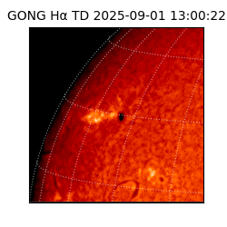 gong - 2025-09-01T13:00:22
