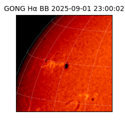 gong - 2025-09-01T23:00:02