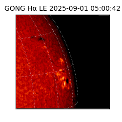 gong - 2025-09-01T05:00:42
