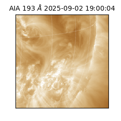 saia - 2025-09-02T19:00:04.835000