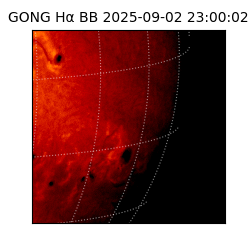gong - 2025-09-02T23:00:02