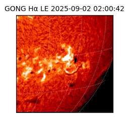 gong - 2025-09-02T02:00:42