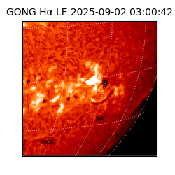 gong - 2025-09-02T03:00:42