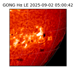 gong - 2025-09-02T05:00:42