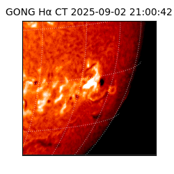gong - 2025-09-02T21:00:42