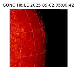 gong - 2025-09-02T05:00:42