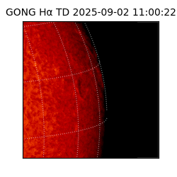 gong - 2025-09-02T11:00:22