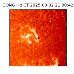 gong - 2025-09-02T21:00:42
