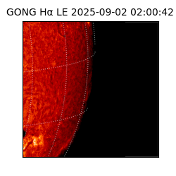 gong - 2025-09-02T02:00:42