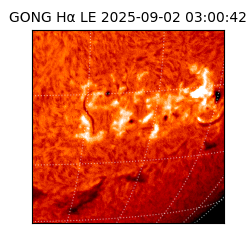 gong - 2025-09-02T03:00:42