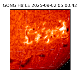 gong - 2025-09-02T05:00:42