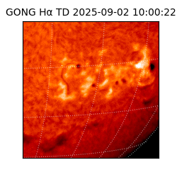 gong - 2025-09-02T10:00:22