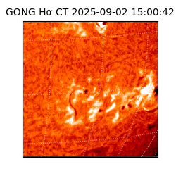 gong - 2025-09-02T15:00:42