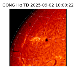 gong - 2025-09-02T10:00:22