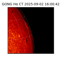 gong - 2025-09-02T16:00:42