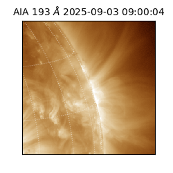 saia - 2025-09-03T09:00:04.846000