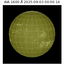 saia - 2025-09-03T00:00:14.119000