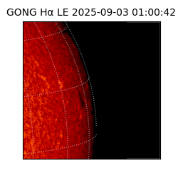 gong - 2025-09-03T01:00:42