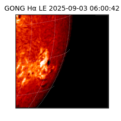 gong - 2025-09-03T06:00:42